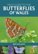 Field Guide To The Butterflies Of Wales