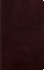 ESV Giant Print Personal Size Bible, Red Letter (TruTone, Mahogany)