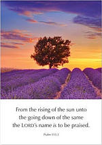 The LORD's name is to be praised - Psalm 113.3