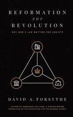 Reformation Not Revolution