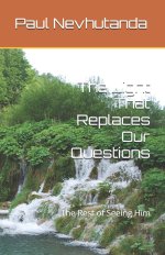 The Light That Replaces Our Questions: The Rest of Seeing Him