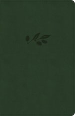 NASB Verse-by-Verse Reference Bible, Olive