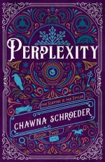Perplexity