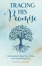 Tracing His Promise: Understanding the Bigger Story of Jesus and What That Means for Us