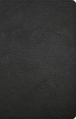 CSB Thinline Bible, Anglicised Edition, Black Leather