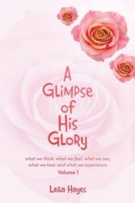 A Glimpse of His Glory: what we think, what we feel, what we see, what we hear and what we experience