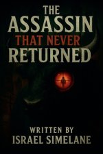 The Assassin That Never Returned