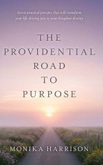 The Providential Road to Purpose