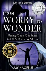 From Worry to Wonder: Seeing God's Goodness in Life's Rearview Mirror