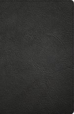 CSB Large Print Personal Size Reference Bible, Black