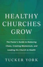 Healthy Churches Grow: The Pastor's Guide to Reducing Chaos, Creating Momentum, and Leading His Church to Health