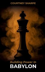 Building Power In Babylon (Hardcover)