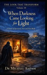 When Darkness Came Looking for Light  : A Novel of Questions, Fear and New Birth