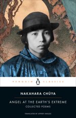 Angel at the Earth's Extreme: Collected Poems