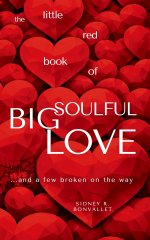 The Little Red Book of Big Soulful Love: ... and a few broken on the way