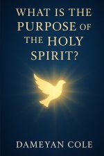 What Is the Purpose of the Holy Spirit?