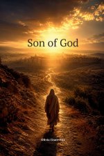 Son of God: Twelve Divine Treasures for the Narrow road