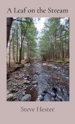 A Leaf on the Stream