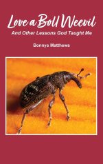 Love a Boll Weevil: And Other Lessons God Taught Me