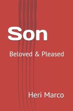 Son: Beloved & Pleased