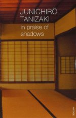 In Praise of Shadows