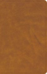 CSB Personal Size Bible, Saddle