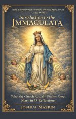 Introduction to the Immaculata: What the Church Actually Teaches  About Mary in 33 Reflections