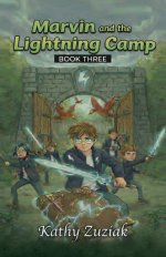 Marvin and the Lightning Camp