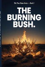 The Burning Bush: You Are Not a Man Without a Mission. You Are a Man Who Has Not Heard It Yet.