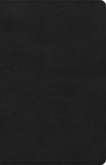 CSB Thinline Bible, Anglicised Edition, Black Leathertouch