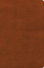 NASB Personal Size Giant Print Bible, Burnt Sienna