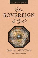 How Sovereign Is God?: A Non-Partisan Exploration