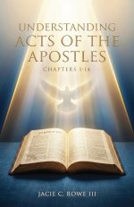 Understanding, Acts of the Apostles, Chapters 1-14: Hopy Spirit Series