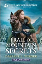 Trail of Mountain Secrets