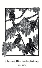 The Last Bird on the Balcony