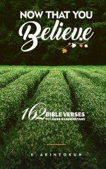 Now That You Believe: 162 Bible Verses To Learn & Understand