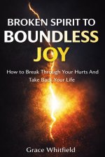 Broken Spirit to Boundless Joy : How to Break Through Your Hurts And Take Back Your Life