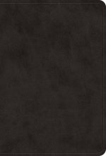 ESV Value Large Print Compact Bible (TruTone, Black)
