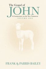 The Gospel of John A Commentary on the New Testament Volume 1