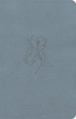 CSB Personal Size Bible, Digital Study Edition, Blue