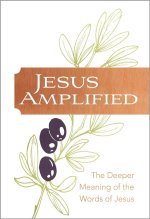 Jesus Amplified