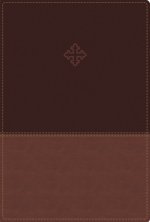 Amplified Study Bible, Imitation Leather, Brown