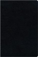 KJV, Amplified, Parallel Bible - Large Print, Bonded Leather, Black, Red Letter Edition