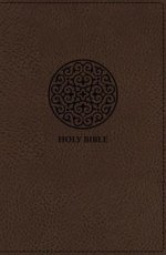 NIV, The Message, Parallel Bible