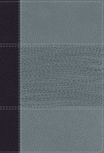 NIV Study Bible, Fully Revised Edition (Study Deeply. Believe Wholeheartedly.), Personal Size, Leathersoft, Navy/Blue, Red Letter, Comfort Print