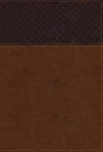 NIV Study Bible, Fully Revised Edition (Study Deeply. Believe Wholeheartedly.), Large Print, Leathersoft, Brown, Red Letter, Comfort Print