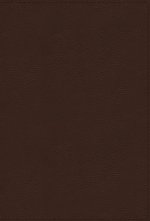 NRSVue, Holy Bible with Apocrypha, Leathersoft, Brown, Comfort Print
