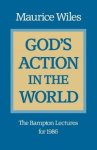 God's Action in the World