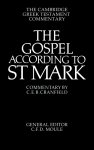 Mark: An Introduction and Commentary