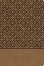 KJV Study Bible Imitation Leather Tan